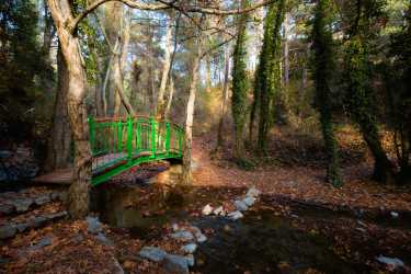 Wycieczka fakultatywna, Wycieczka: Troodos, klasztor Kykkos [29] z Pafos Marathon